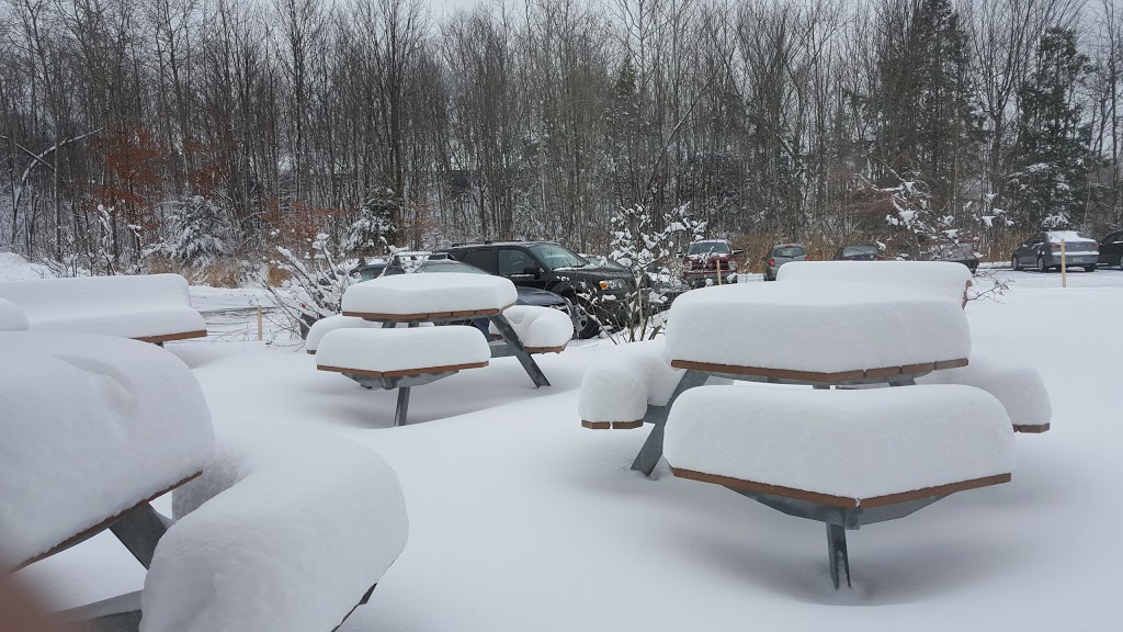 Trilliant Networks | 610 Rue du Luxembourg, Granby, QC J2J 2V2, Canada | Phone: (450) 375-0556