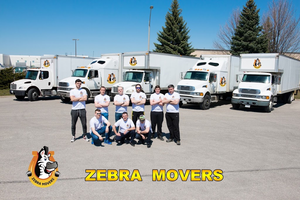 Zebra Movers Newmarket | 98 Jordanray Blvd, Newmarket, ON L3X 2P8, Canada | Phone: (905) 657-9207