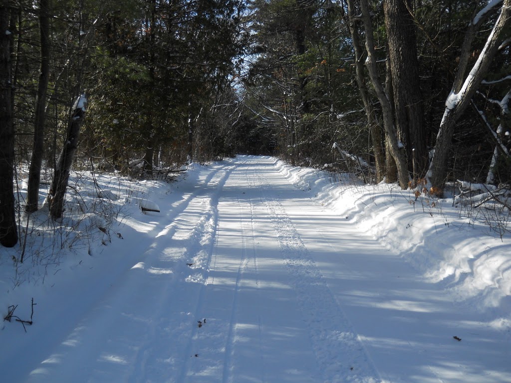 Beagle Club Trailhead, Northumberland County Forest | Beagle Club Rd, Harwood, ON K0K 2H0, Canada | Phone: (905) 372-3329