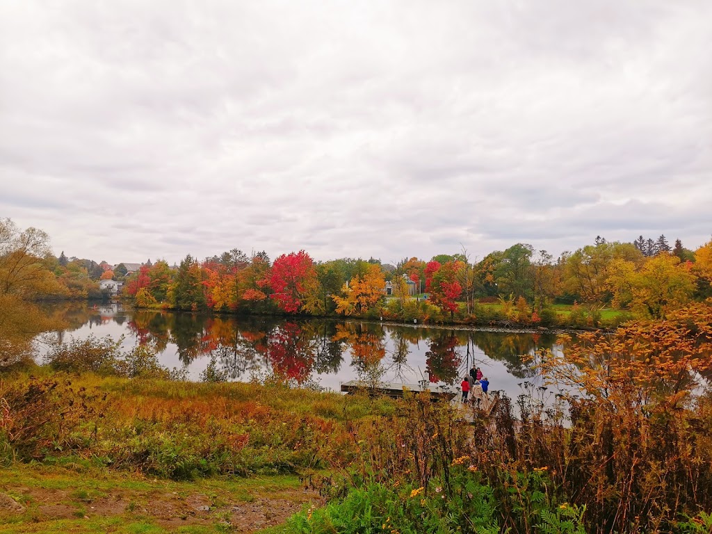 Musokuka Cottage bracebridge | 1236 Golden Beach Rd, Bracebridge, ON P1L 1W8, Canada | Phone: (647) 383-8675