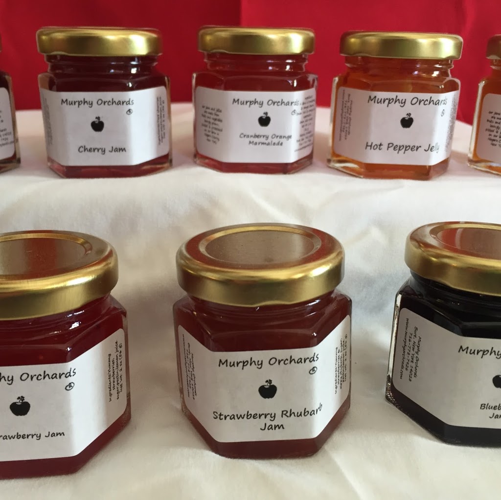 Murphy Orchards | 2402 McClew Rd, Burt, NY 14028, USA | Phone: (716) 778-7926