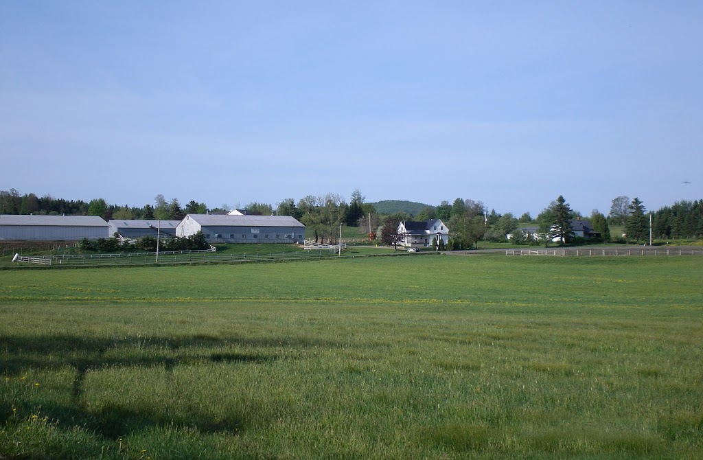 Ranch St-Hubert | 890 Chemin St Jacques, Saint-Herménégilde, QC J0B 2W0, Canada | Phone: (819) 820-5167