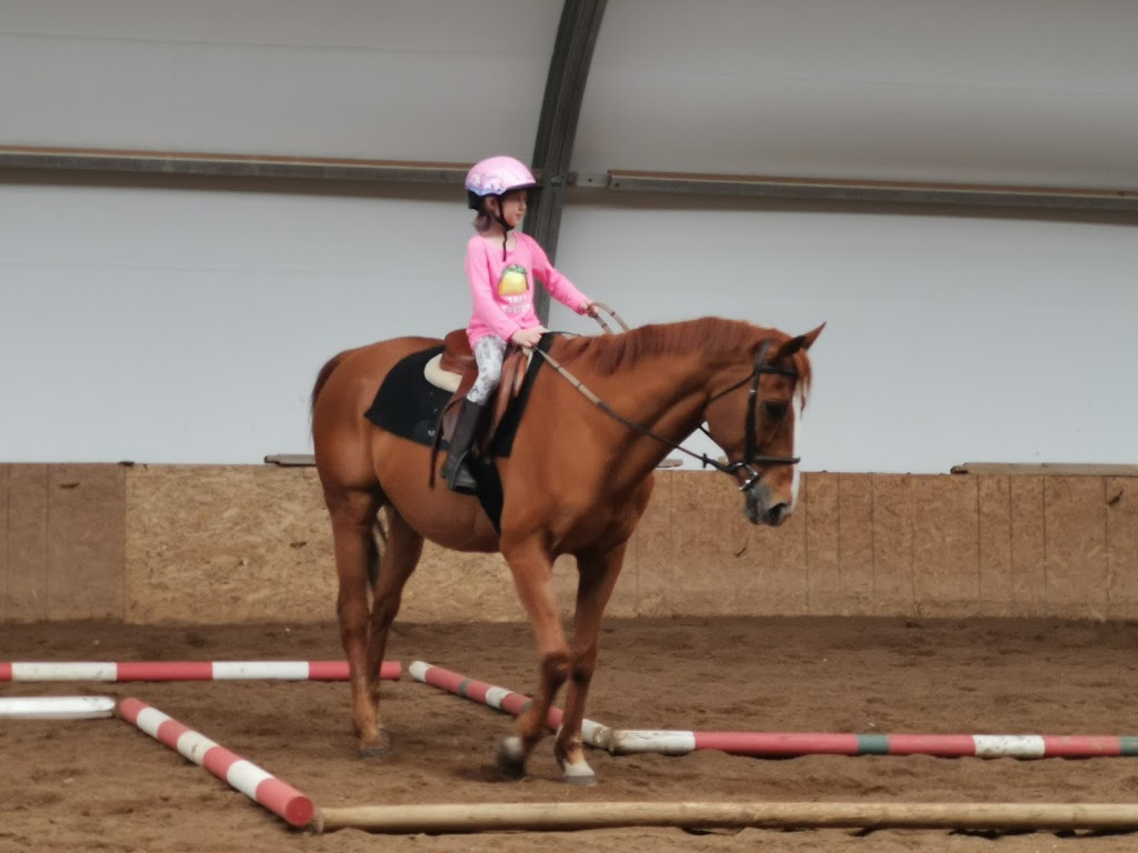 Ironstone Farms | 274117 112 St W, Alberta T1S 0W5, Canada | Phone: (403) 703-4219