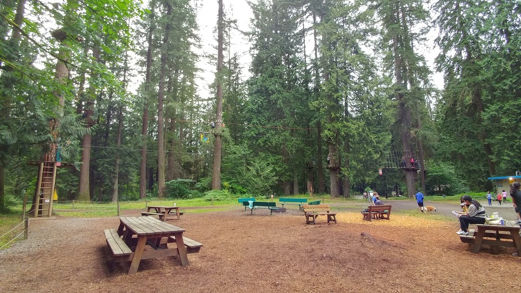 WildPlay Element Parks Maple Ridge | 23485 Fern Crescent, Maple Ridge, BC V4R 2S6, Canada | Phone: (855) 595-2251