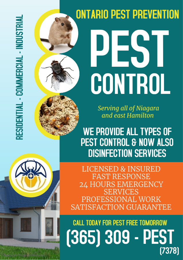 Ontario Pest Prevention | 5545 Blezard Dr, Beamsville, ON L0R 1B3, Canada | Phone: (365) 309-7378