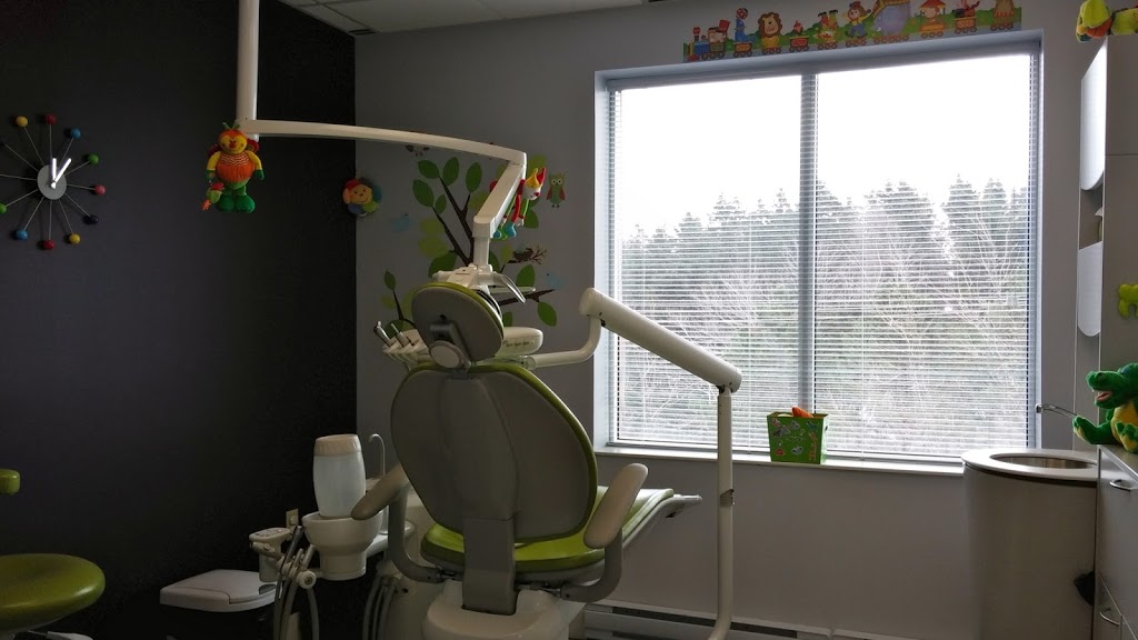 Pinnacle Dental Specialists | 255 Lacewood Dr #307, Halifax, NS B3M 4G2, Canada | Phone: (902) 407-7377