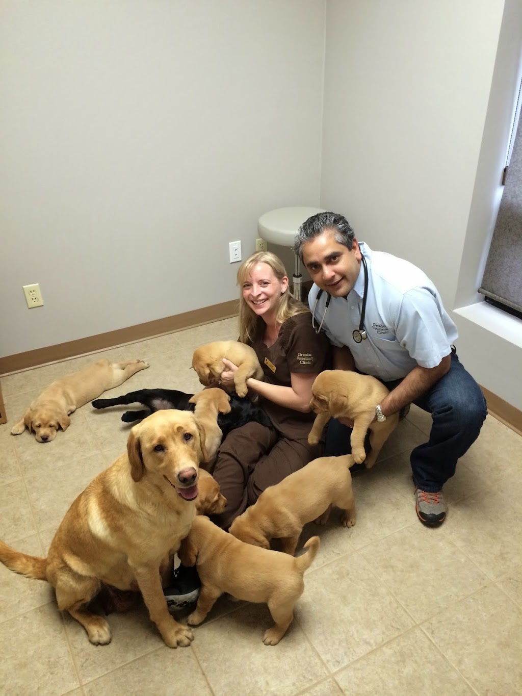 Sydenham River Veterinary Office | 1239 Dufferin Ave #2, Wallaceburg, ON N8A 2W4, Canada | Phone: (519) 627-7070