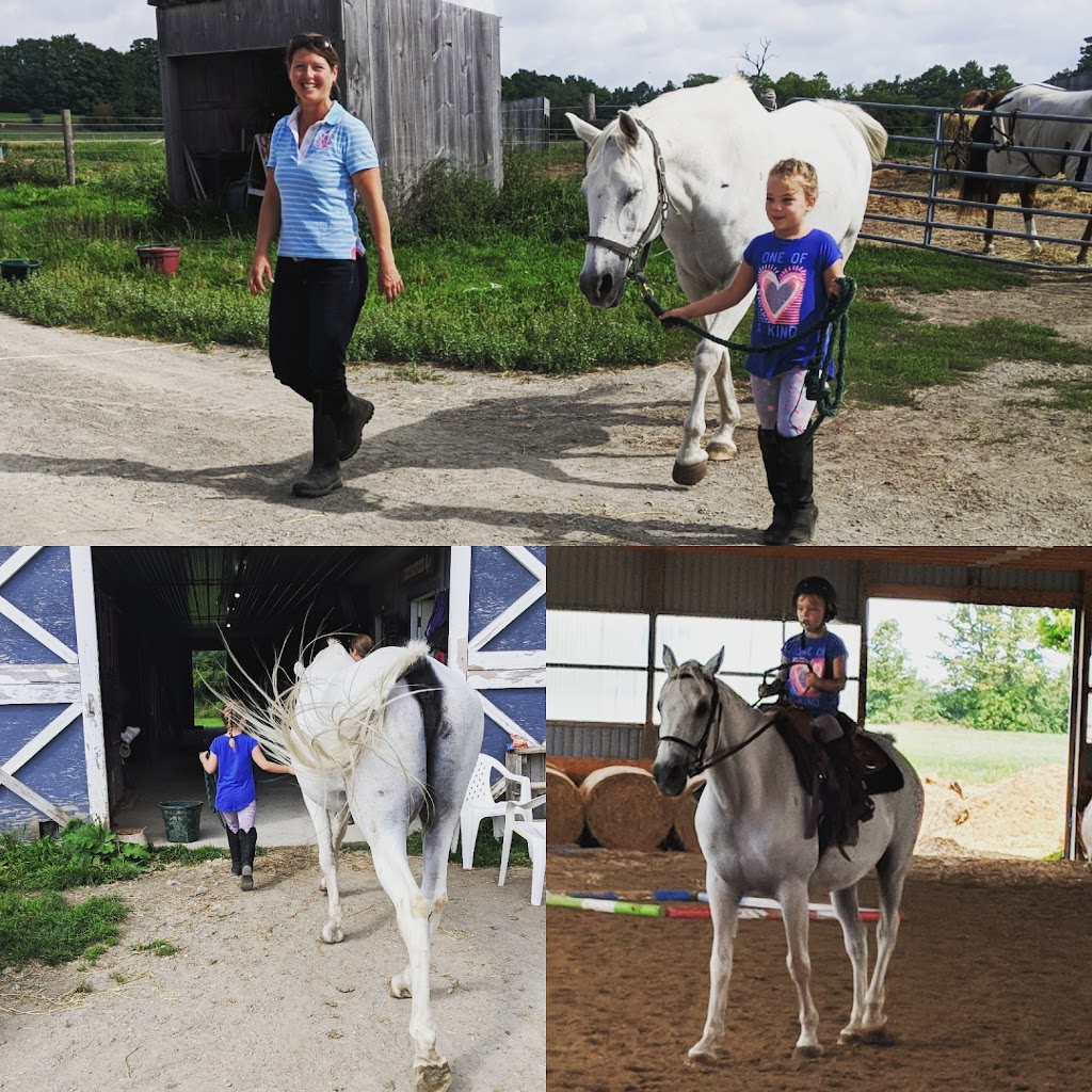 KB Equestrian | 20 Mcindoos Cemetery Rd, Woodville, ON K0M 2T0, Canada | Phone: (905) 809-6010