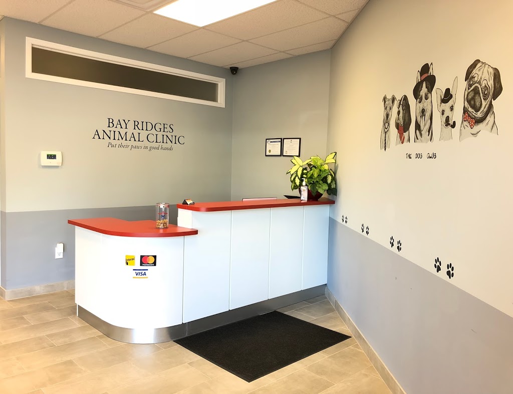 Bay Ridges Animal Clinic | 717 Krosno Blvd, Pickering, ON L1W 1G4, Canada | Phone: (905) 837-2717