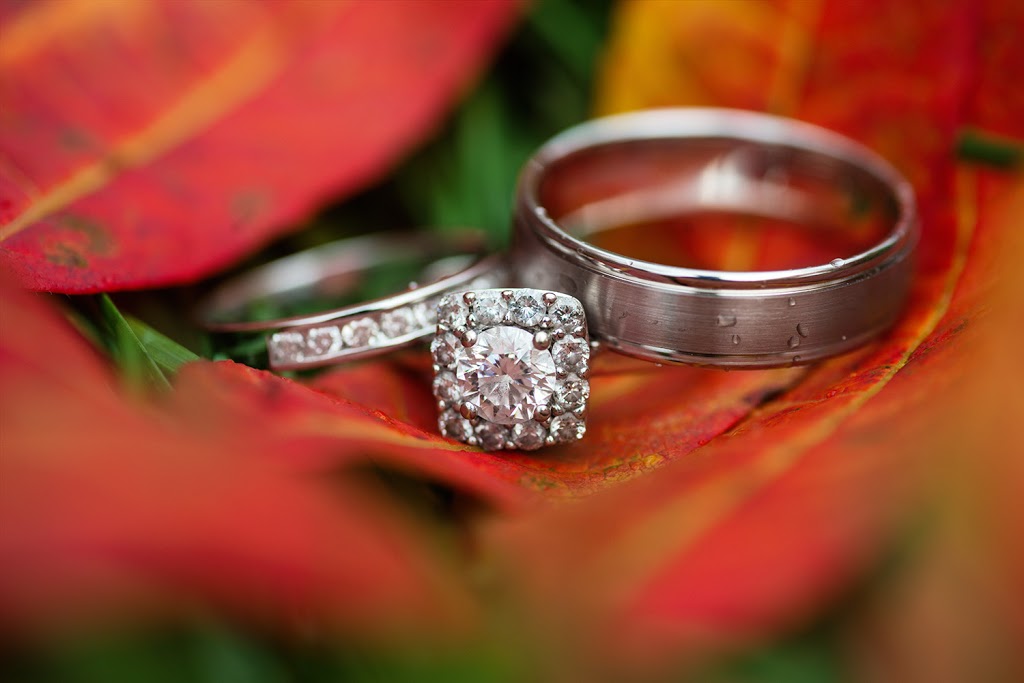 Stacey Stewart Photography | North Gower, ON K0A 2T0, Canada | Phone: (613) 258-0839