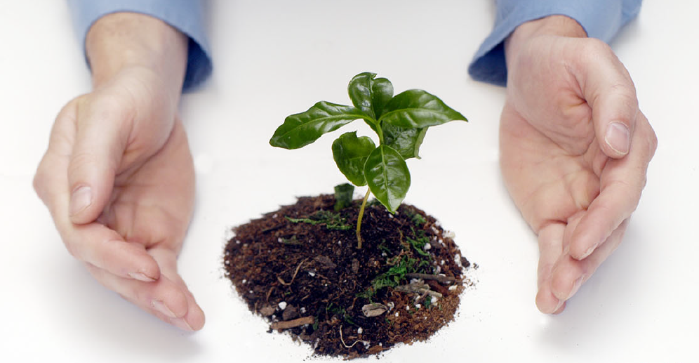 Padgett Business Services | 200 McNab St #102, Walkerton, ON N0G 2V0, Canada | Phone: (519) 881-4523