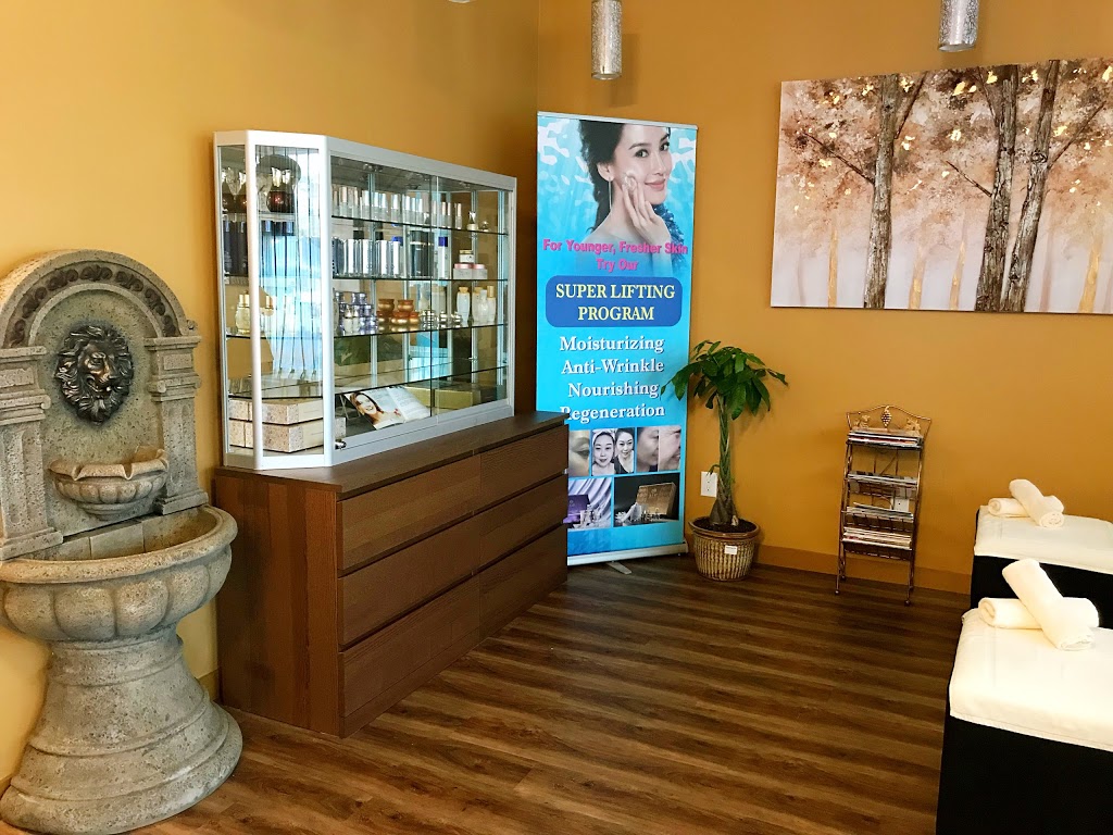 Fontana Spa | 8850 Walnut Grove Dr, Langley City, BC V1M 2C9, Canada | Phone: (604) 371-0776