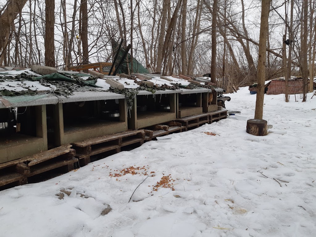 Lansdowne Park | 150 Burwell St, Brantford, ON N3T 4V4, Canada | Phone: (519) 756-1500