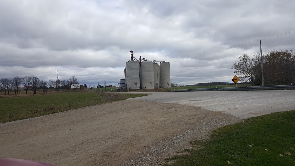 Underwood Grain Ltd | 41797 Howick Turnberry Rd, Wingham, ON N0G 2W0, Canada | Phone: (519) 335-3579