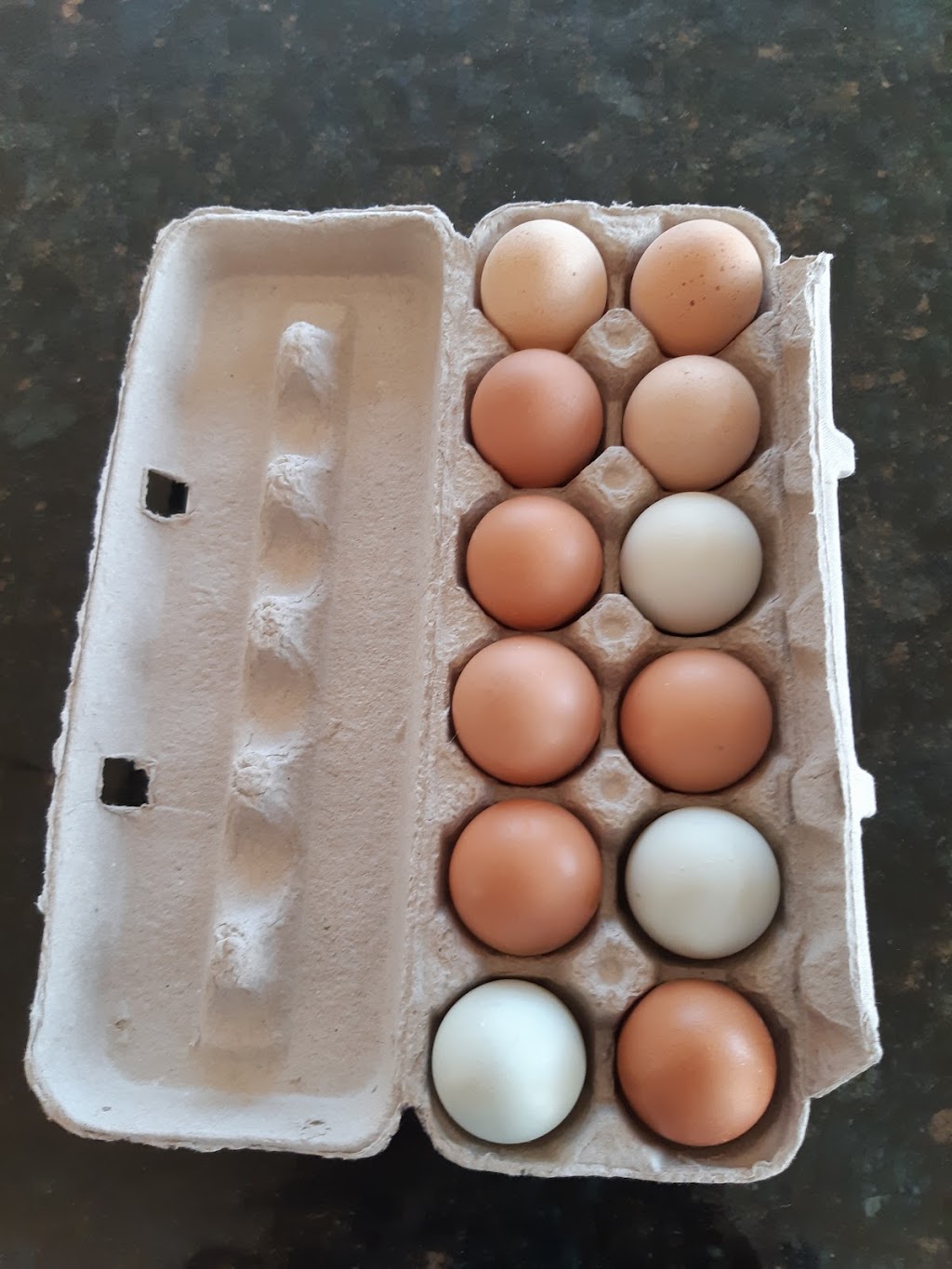 Farmstand | 573 Morrison Point Rd, Milford, ON K0K 2P0, Canada | Phone: (343) 263-3312