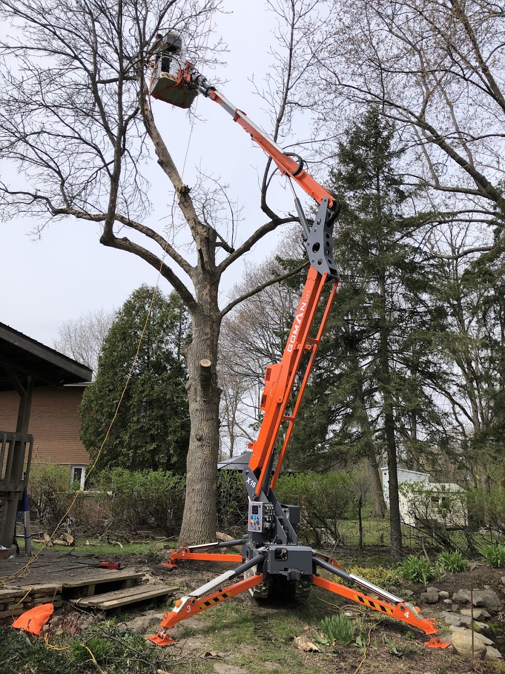 Goman Lift | 8100g Rte Transcanadienne, Saint-Laurent, QC H4S 1M5, Canada | Phone: (514) 318-6826
