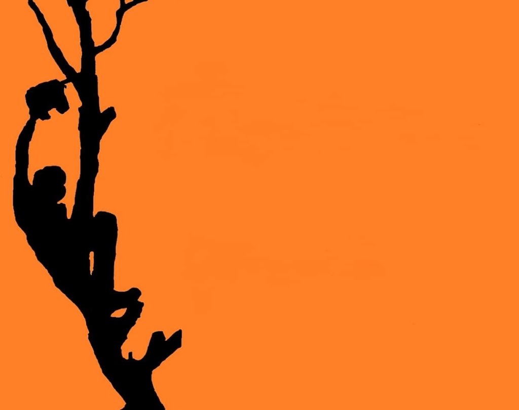 Arboriculture Pagé | 145 Rue Lesage, Saint-Raymond, QC G3L 2L8, Canada | Phone: (418) 283-2083