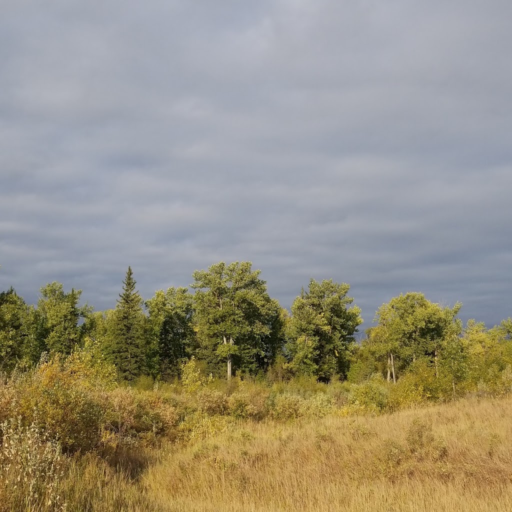 Black Diamond Offleash Park | 218 2 St NW, Black Diamond, AB T0L 0H0, Canada | Phone: (587) 888-3925