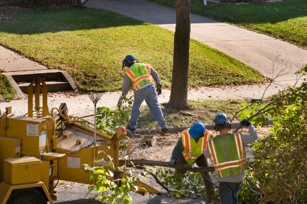White Diamond Landscaping & Construction | 161, Windstone Link SW, Airdrie, AB T4B 3V8, Canada | Phone: (403) 874-1978