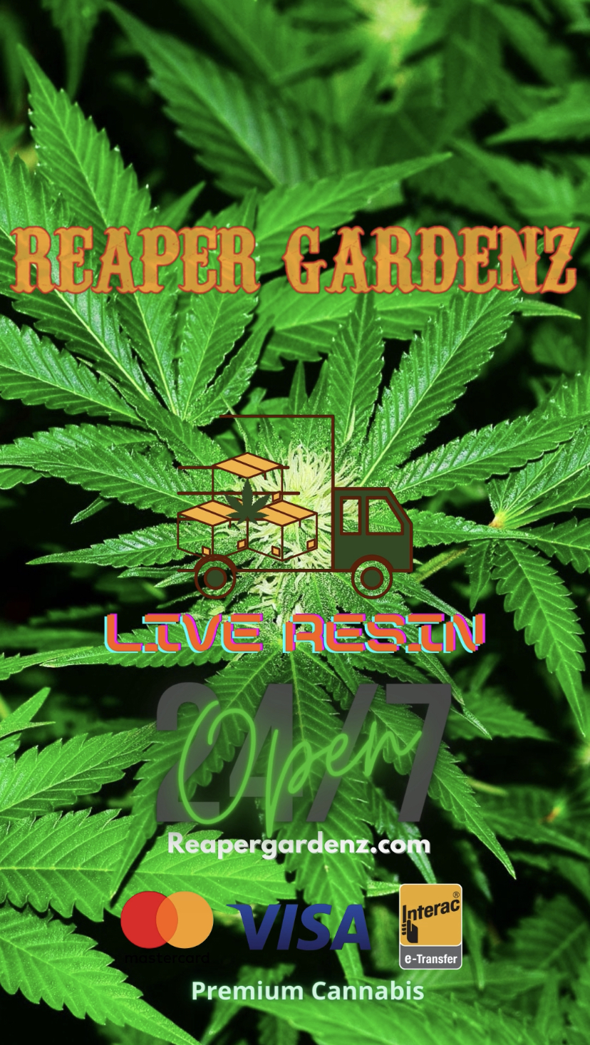 Reaper Weed Same Day Delivery Toronto | 1011 Weston Rd, York, ON M6N 3R9, Canada | Phone: (647) 924-0377