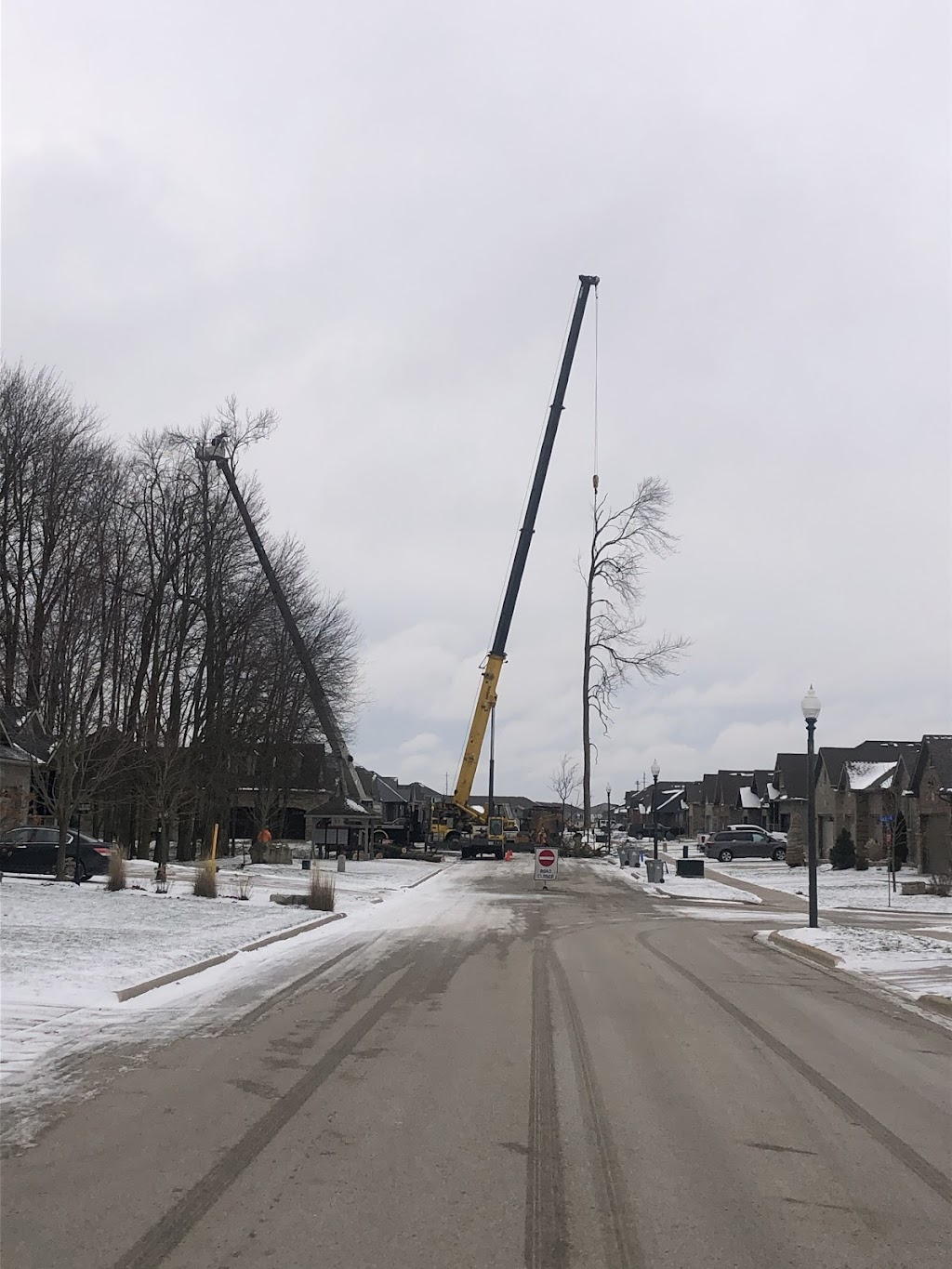 Tree Tech, Tree and Property Maintenance Specialists Inc. | 140 Clarke St, Mitchell, ON N0K 1N0, Canada | Phone: (519) 301-2058
