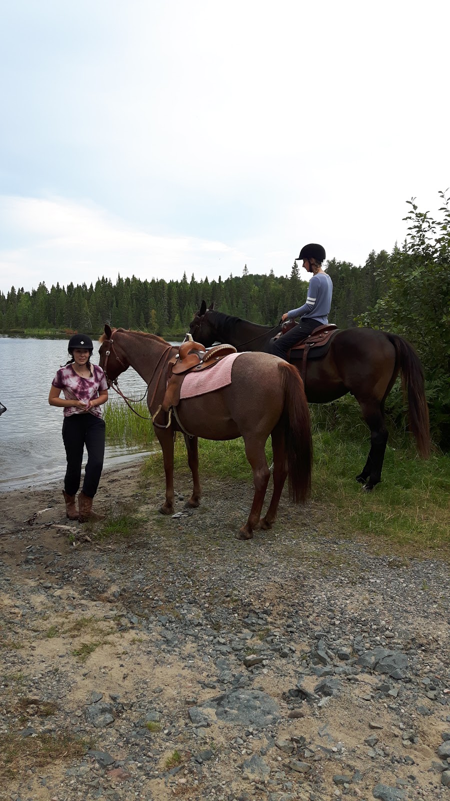 Temiskaming Nordic Ski Club | Forest Access Rd, Coleman, ON P0J 1P0, Canada | Phone: (705) 679-5106