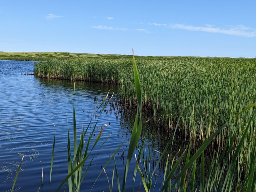 Greenwich Trailhead, Prince Edward Island National Park | 61 Greenwich Rd, Saint Peters Bay, PE C0A 2A0, Canada | Phone: (902) 672-6350