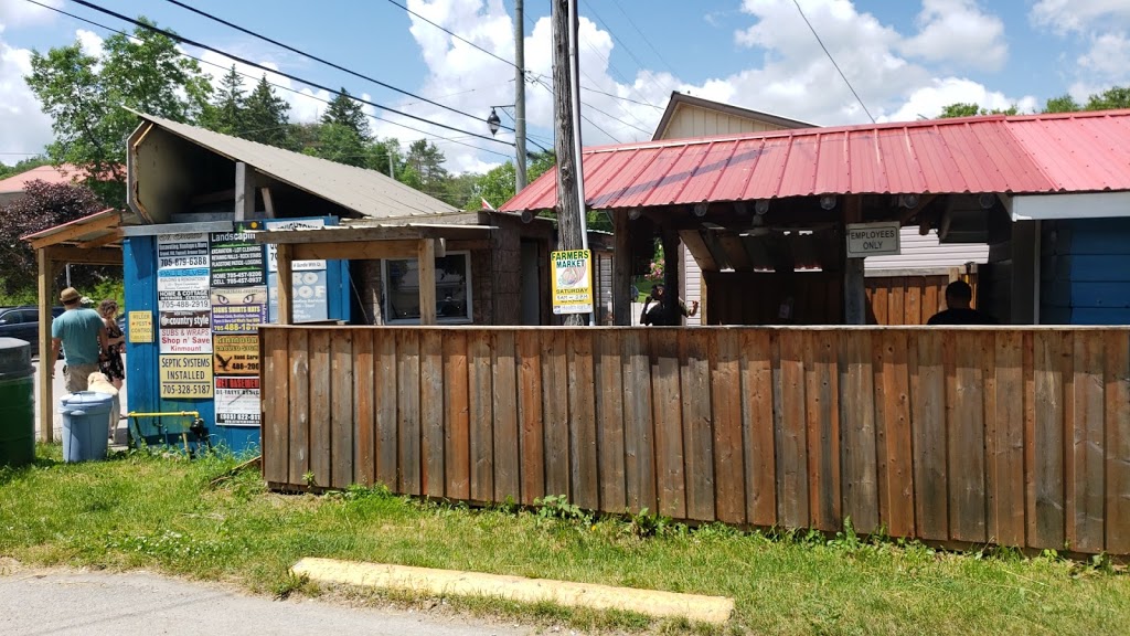 Kinmount Fish and Chips | 4080 Kawartha Lakes County Rd 121, Kinmount, ON K0M 2A0, Canada | Phone: (705) 488-1850