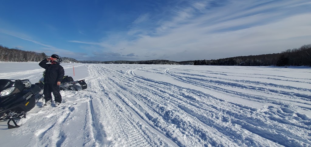 Little Hawk Resort & Marina | 2049 Little Hawk Lake Rd, Algonquin Highlands, ON K0M 1J2, Canada | Phone: (705) 489-2158