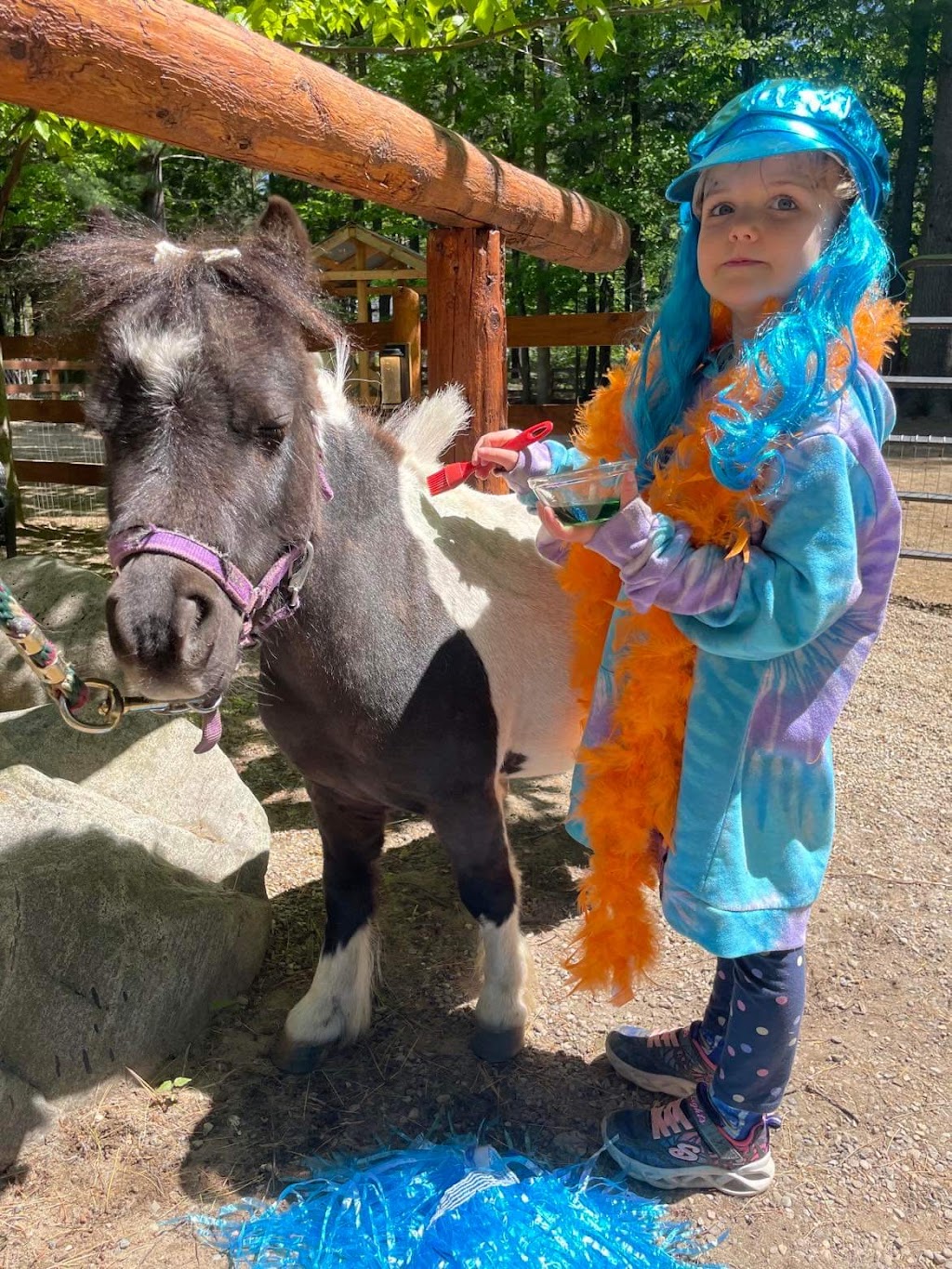 Giddy-Up & Cocorico | 1269 Rue Pine Ridge, Saint-Lazare, QC J7T 2M7, Canada | Phone: (514) 629-0621