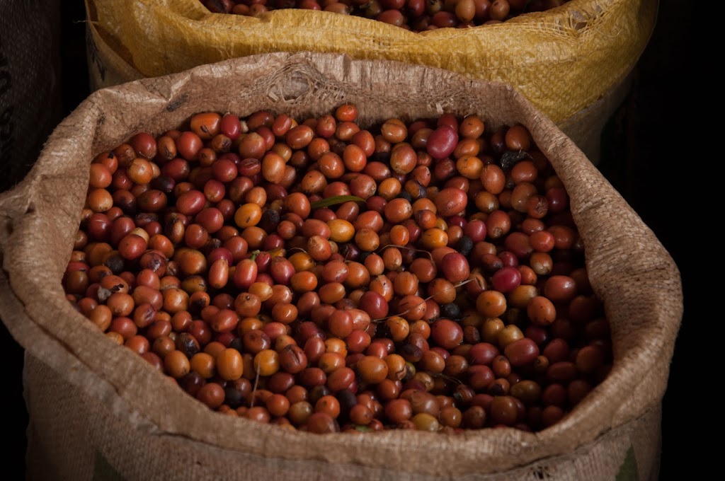 Muisca Coffee | 4502 Cokato Rd, Fernie, BC V0B 1M4, Canada | Phone: (250) 423-1356