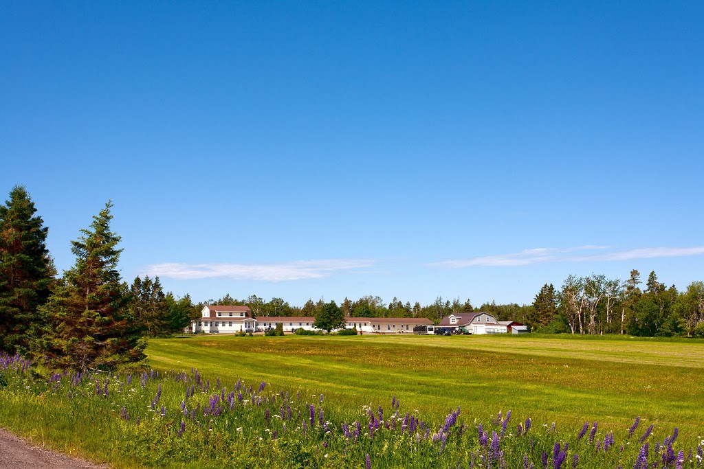 Indian Point Motel | 323 Fort St, Port Elgin, NB E4M 3Y9, Canada | Phone: (506) 538-7586