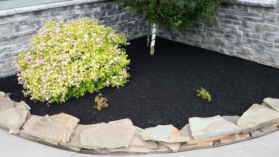 Quality Lawn Care & Landscaping | 1293 Hastings Rd, Amherst, NS B4H 3Y2, Canada | Phone: (902) 664-9999