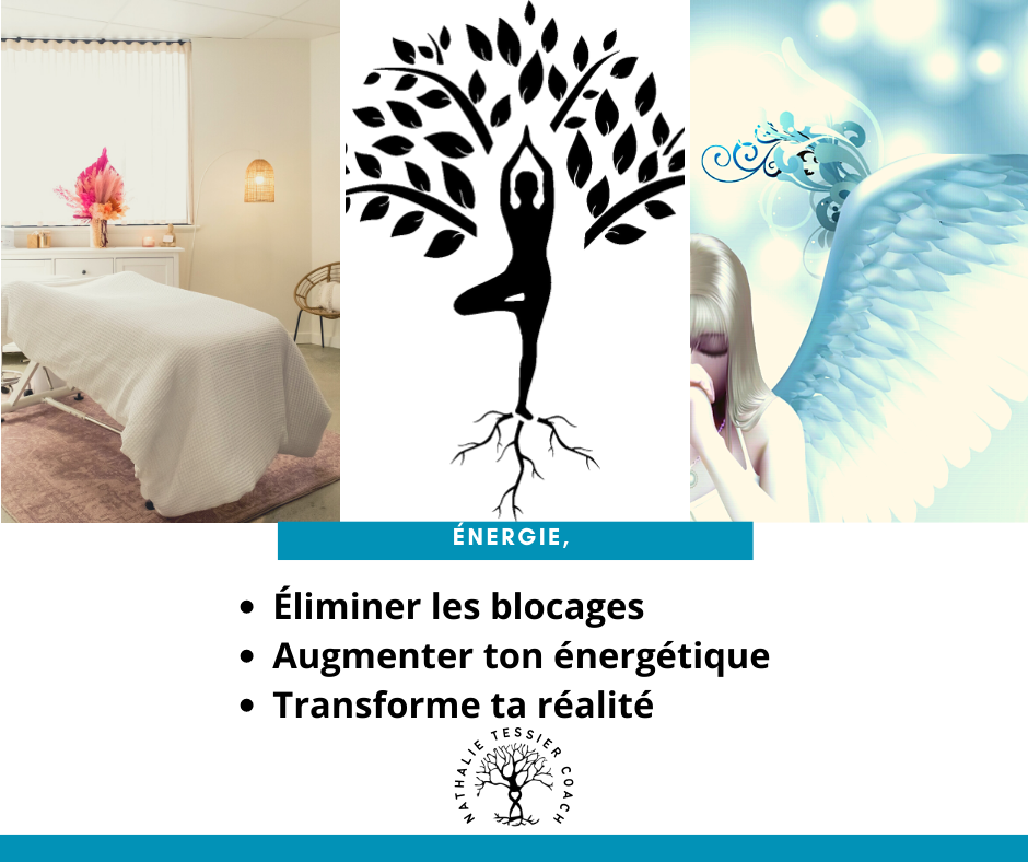 Nathalie Tessier Coach | 3274 Av. Bourassa, Boisbriand, QC J7H 1B4, Canada | Phone: (438) 889-0985