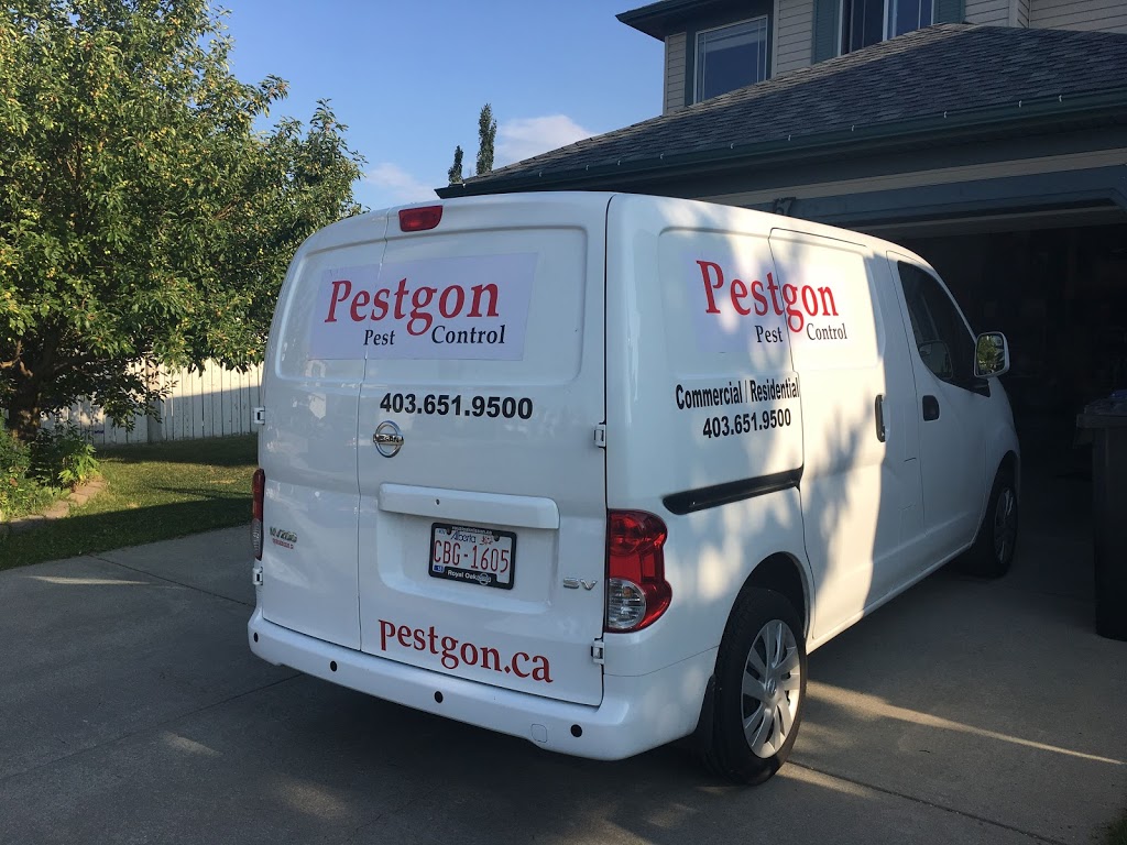 Pestgon Pest Control | 67 Citadel Meadow Grove NW, Calgary, AB T3G 4K6, Canada | Phone: (403) 651-9500