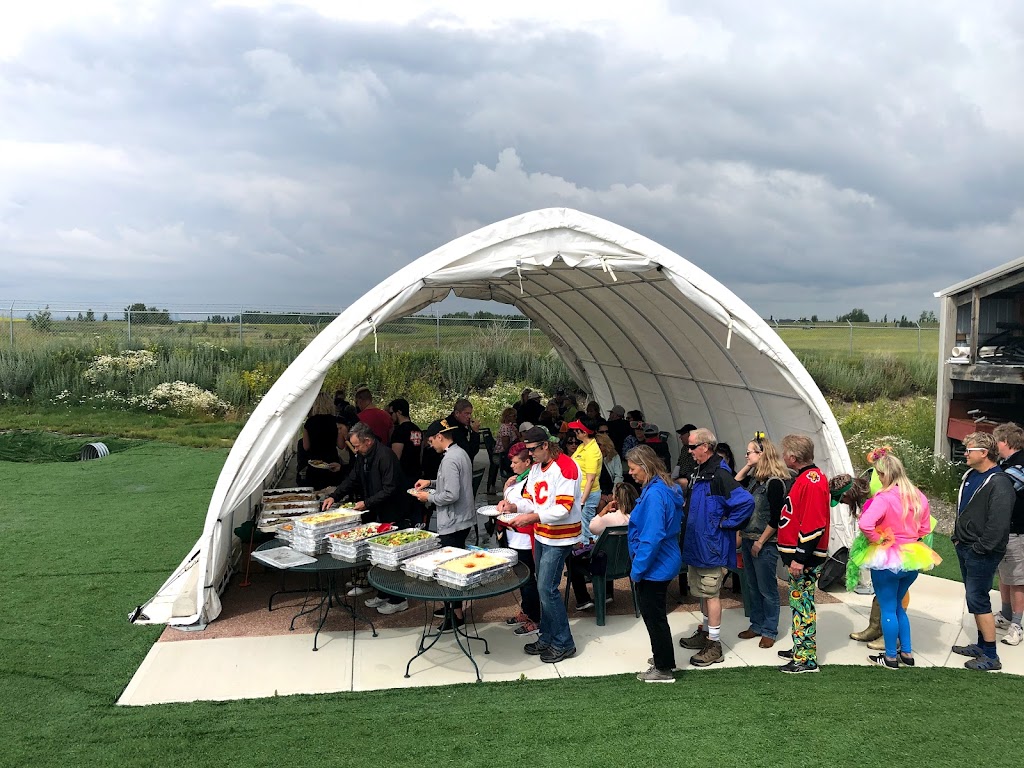Oasis Greens Golf Centre | 242 Ave W, De Winton, AB T0L 0X0, Canada | Phone: (403) 873-0004