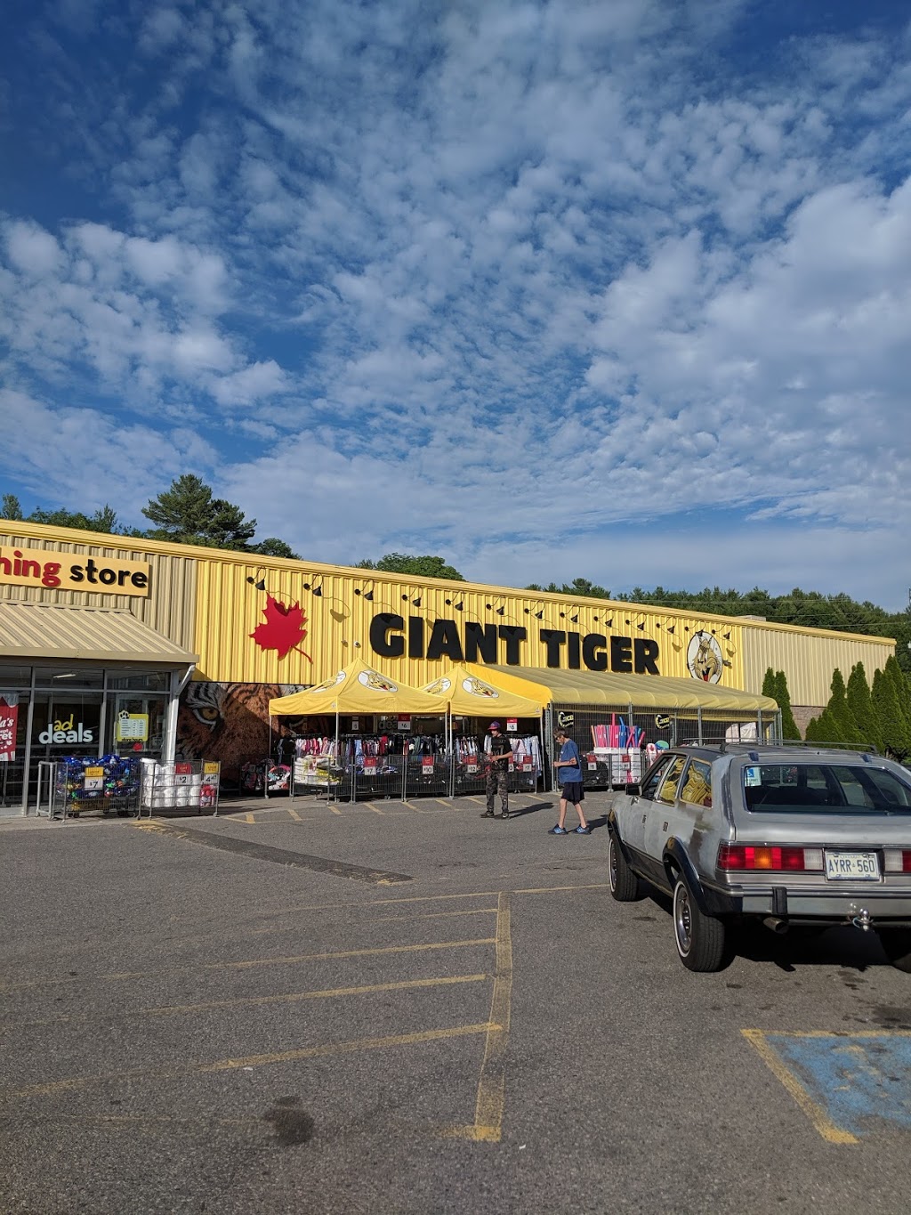 Giant Tiger | 1190 Muskoka Rd S, Gravenhurst, ON P1P 1K9, Canada | Phone: (705) 684-9751