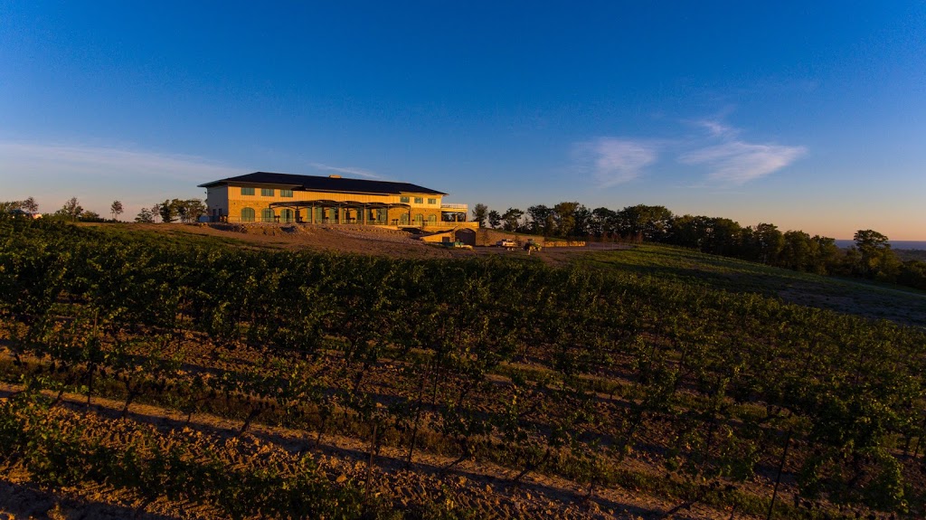 Megalomaniac Winery | 3930 Cherry Ave, Vineland, ON L0R 2C0, Canada | Phone: (905) 562-5155