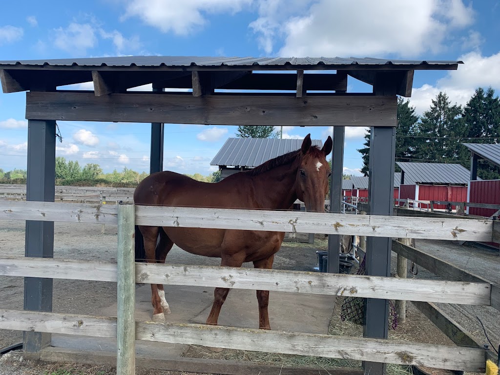 Bekevar Farms | 2863 240 St, Langley, BC V2Z 1N3, Canada | Phone: (778) 999-2692