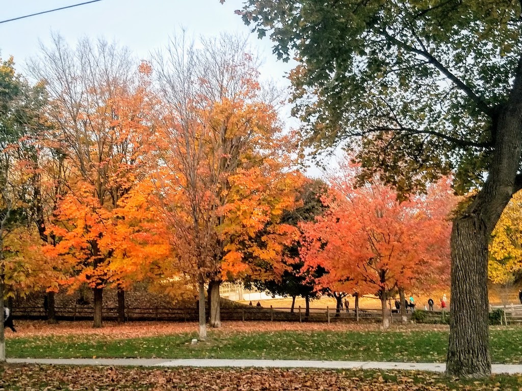 Withrow Park | 725 Logan Ave, Toronto, ON M4K 3B9, Canada | Phone: (416) 392-2489