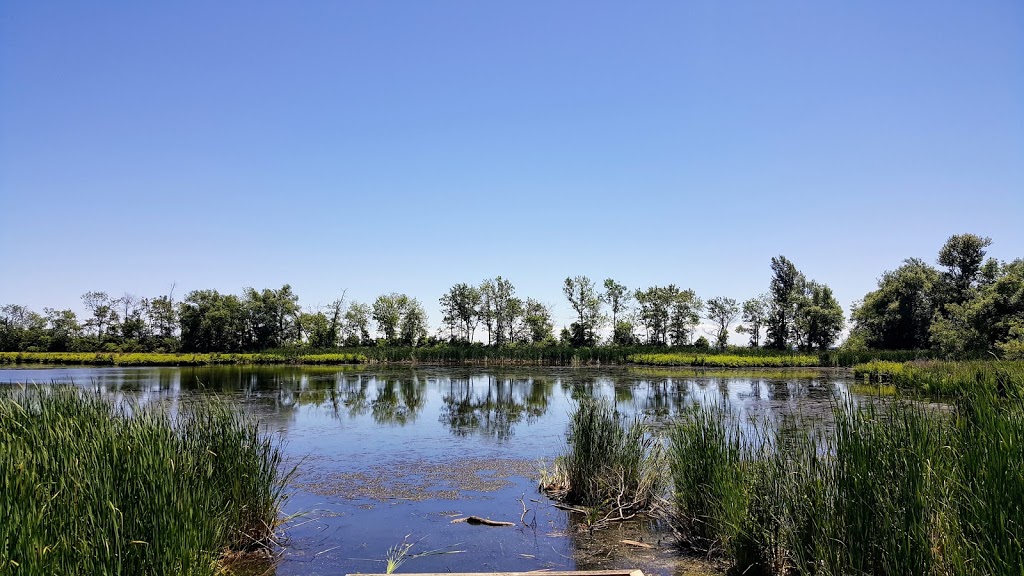 Stone Street Park | Lakeview, Oshawa, ON L1J, Canada