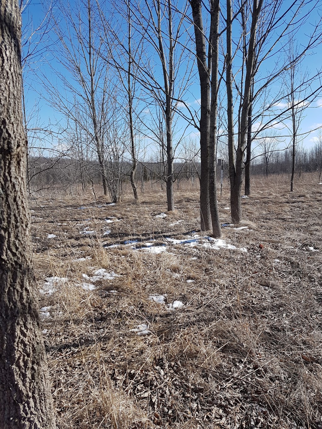 Trent University Nature Areas | 801 University Rd, Peterborough, ON K9J 6Y1, Canada | Phone: (705) 748-1011