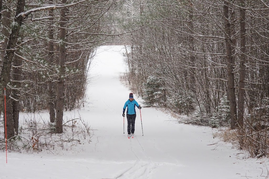 Ski de fond Mont-Tremblant | 251 Chemin Clément, Mont-Tremblant, QC J8E 1N8, Canada | Phone: (819) 425-5588