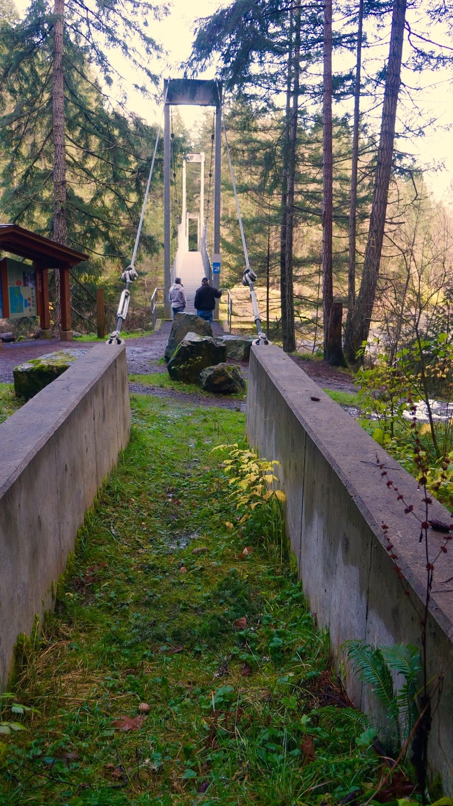 Englishman River Regional Park. / Top Bridge Park,(trail head) | 249 Allsbrook Rd, Parksville, BC V9P 2A8, Canada | Phone: (250) 248-3252