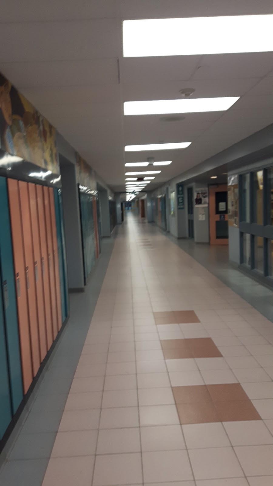 Saltfleet High School | 108 Highland Rd W, Stoney Creek, ON L8J 2T2, Canada | Phone: (905) 573-3000