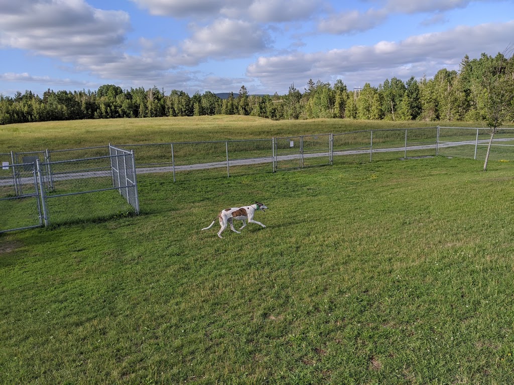 Sussex Bark Park | McLeod Dr, Sussex, NB E4E 2P5, Canada | Phone: (506) 432-4573