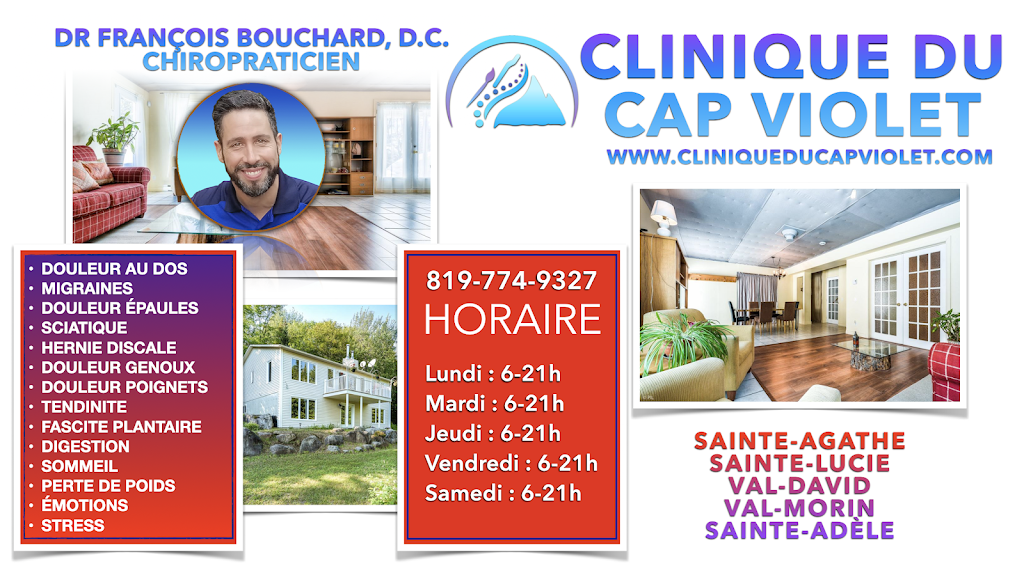 Clinique du Cap Violet - Chiropraticien | 2011 Montée du Cap Violet, Sainte-Lucie-des-Laurentides, QC J0T 2J0, Canada | Phone: (819) 774-9327