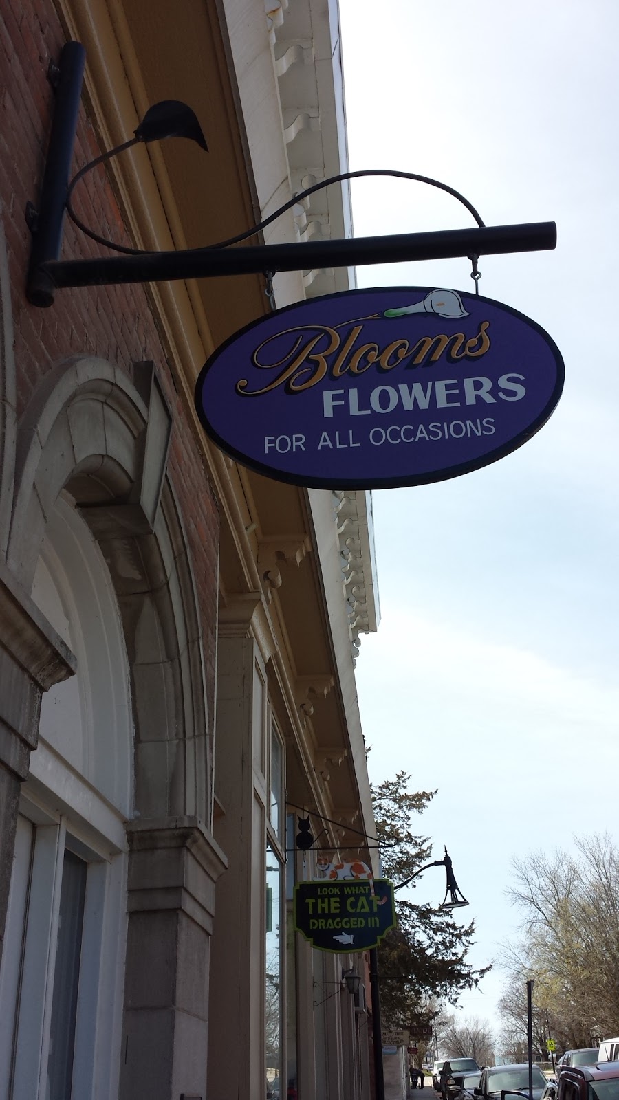 Blooms | 17 W Front St, Stirling, ON K0K 3E0, Canada | Phone: (613) 395-1353