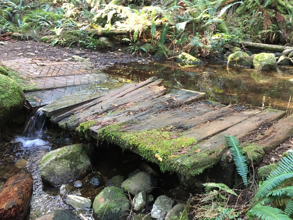 Loop Trail | Golden Ears Pkwy, Maple Ridge, BC V0M, Canada