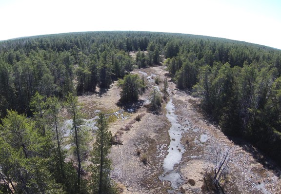 Bruce Alvar Nature Reserve | Hwy 6, Northern Bruce Peninsula, ON N0H 1Z0, Canada | Phone: (800) 440-2366
